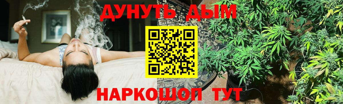 Каннабис VHQ  Шишки марихуана сатива  Новоалександровск  Вход с VPN  Бошки марихуана семена 