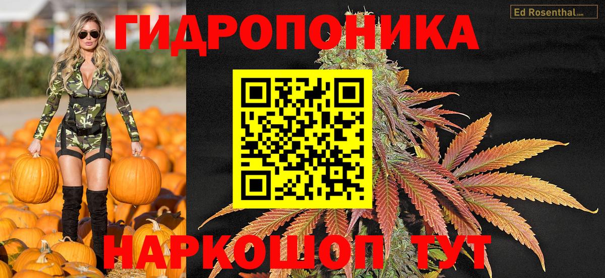 Шишки марихуана планчик Новоалександровск